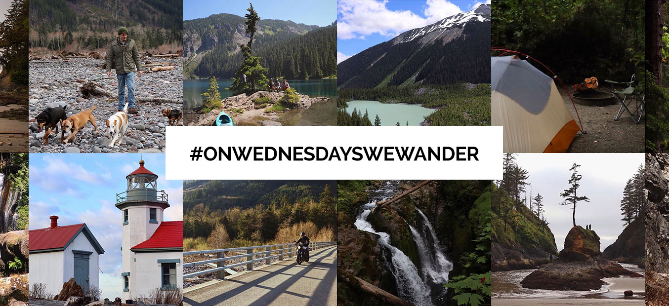 On Wednesdays We Wanter
